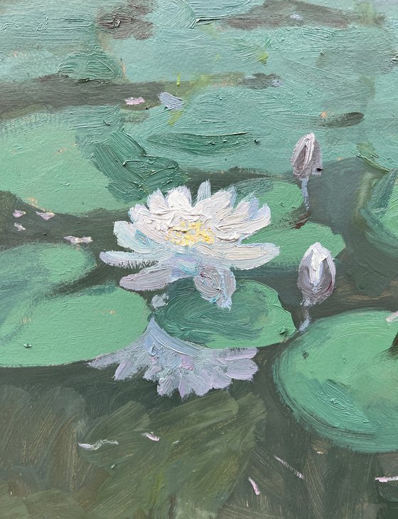 Water Lilies II