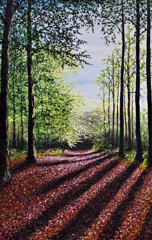 Magical Illuminated Forest Light   100cm x 150cm by Hazel Thomson