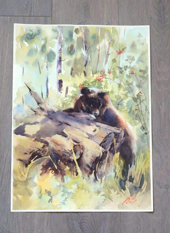 Bear in the forest / Watercolor wild animal