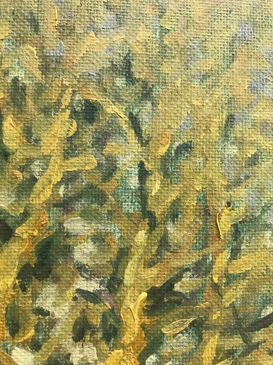 Golden Sunlight House