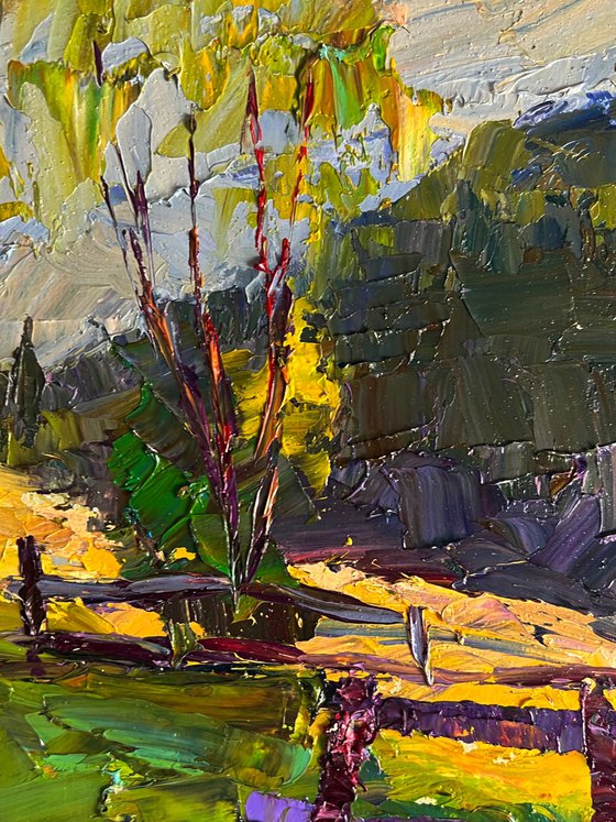 Autumn Mountain Meadows