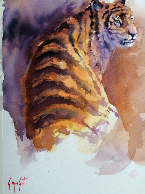 tiger 6