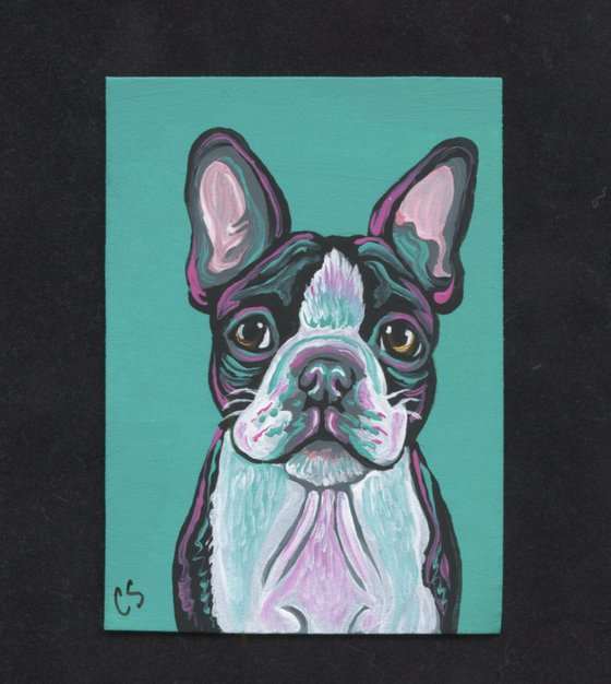 ACEO ATC Original Painting Boston Terrier Pet Dog Art-Carla Smale