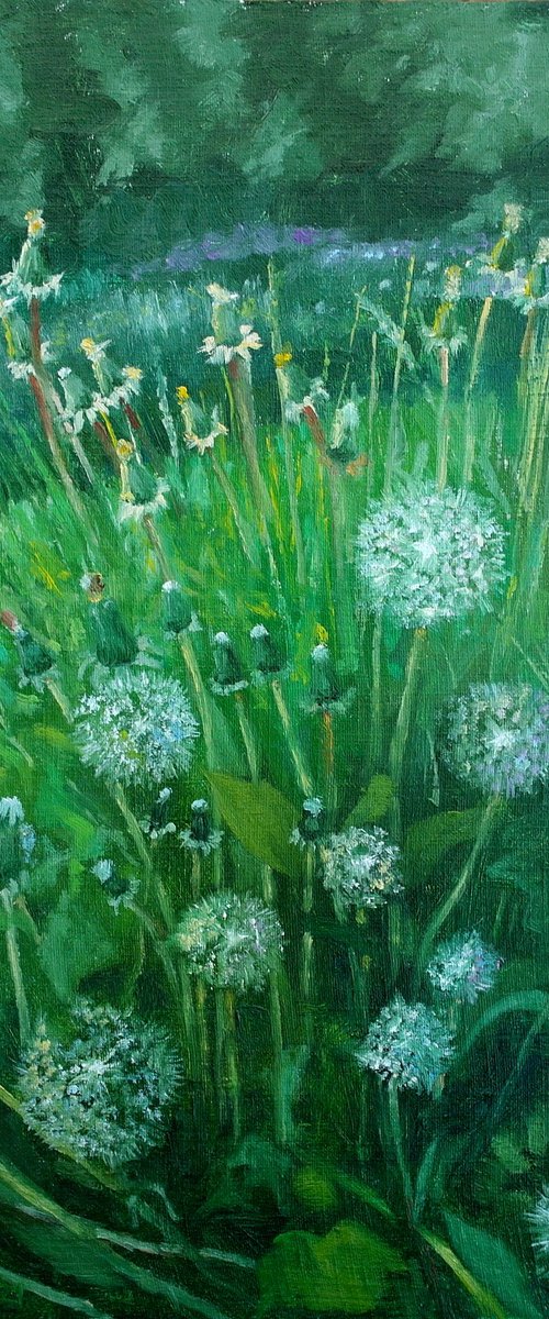 Dandelions by Juri Semjonov