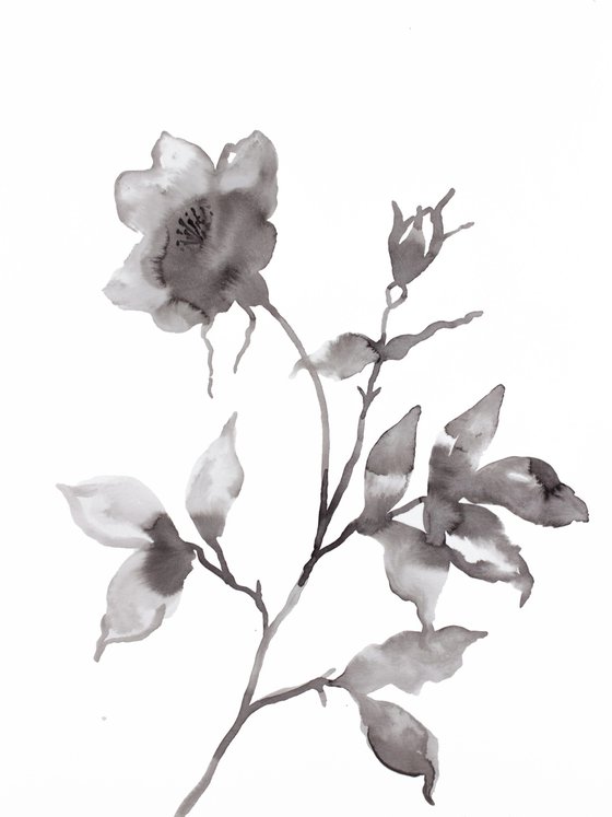 Wild Rose No. 9