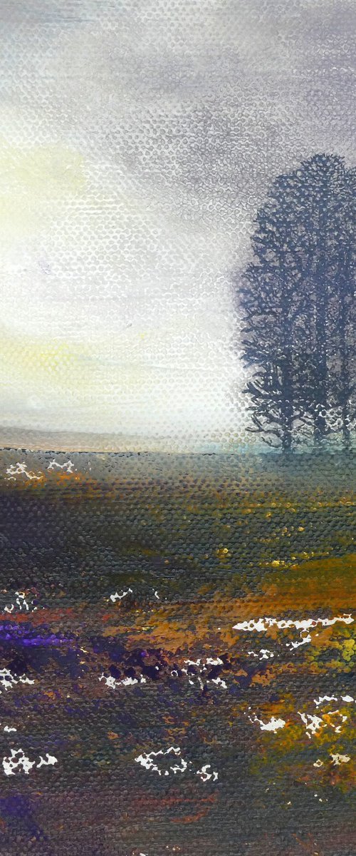 Misty Moorland Trees by oconnart