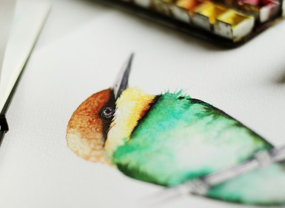 Chestnut-headed bee-eater, wildlife, birds watercolours