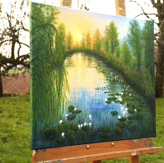 Water lilies pond