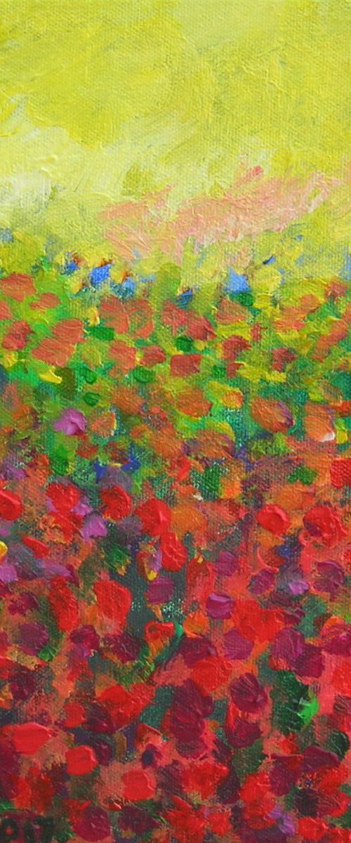 Fiery field by Maja Grecic
