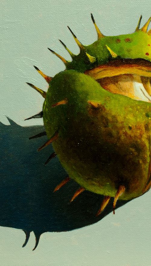 Conker by Dietrich Moravec