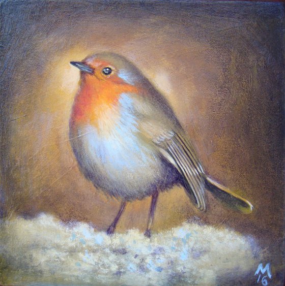 Winter Robin