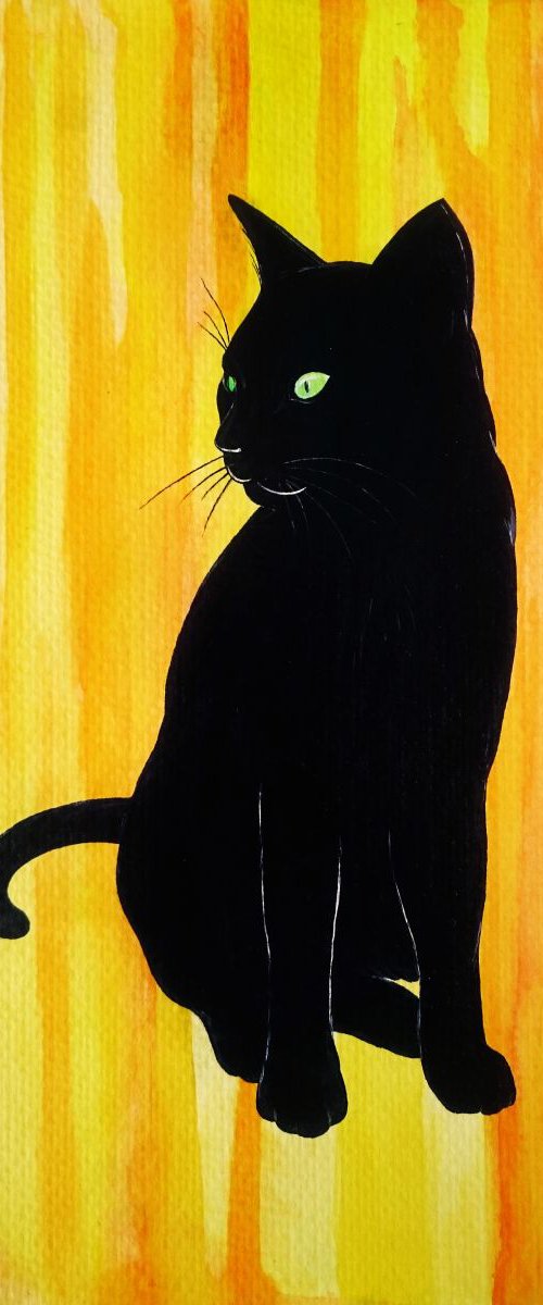Gato Negro by Marcelo Villacrés