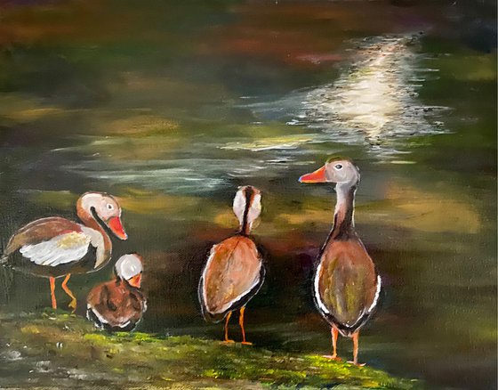 Huey, Duwey, Louie, and Donald Black-Bellied Whistling Ducks Original Oil Painted with different glazes reflected in the water.