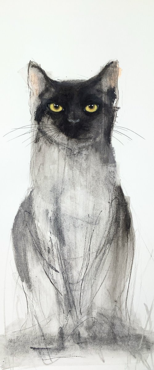 ABSTRACT CAT by Eva Fialka