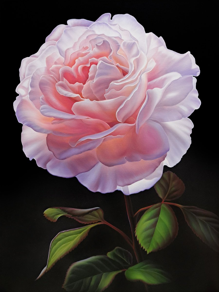 Photorealistic Botanical Oil Painting By Anna Steshenko, 24 X 31, Enchanted Rose, Original Artwork