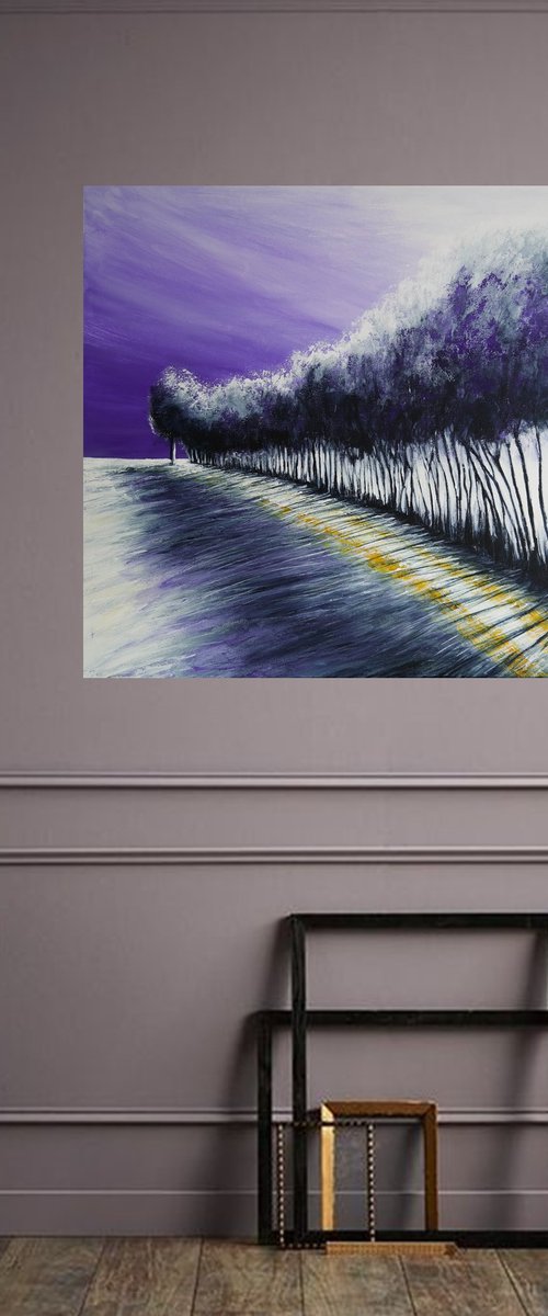 In the land of Ice V- Fields and Shadows Series by Danijela Dan