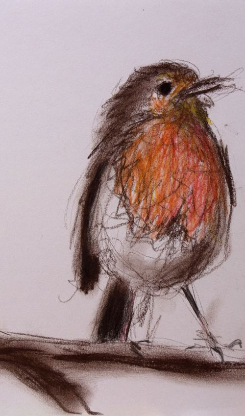 Robin Red Breast by Ryan  Louder