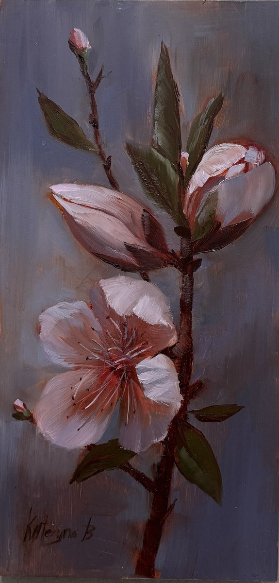 Peach blossom by Kateryna Boykov