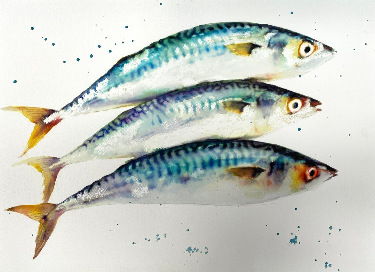 Expressive Animal Watercolour By Teresa Tanner, 14 X 10", Three Mackerel, Original Artwork