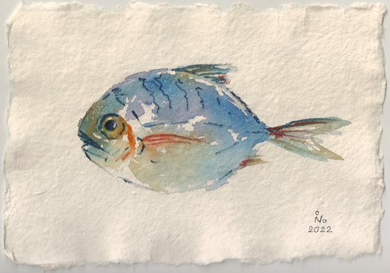 Blue Fish