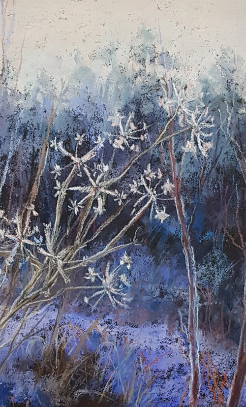 First frost. by Larisa Batenkova