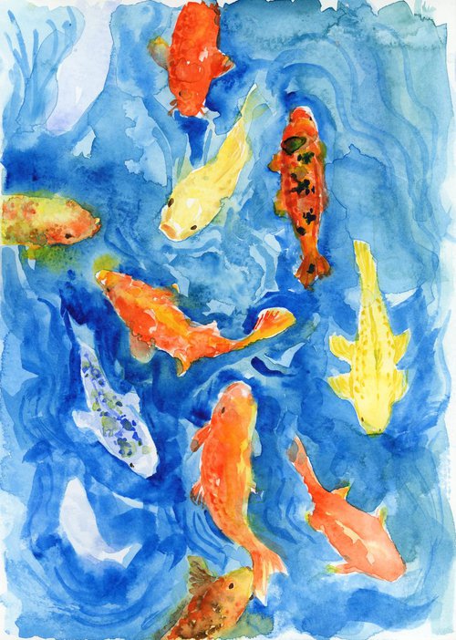 Koi fish in blue water by Yumi Kudo