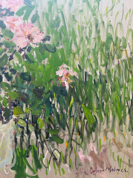 Roses in a summer garden