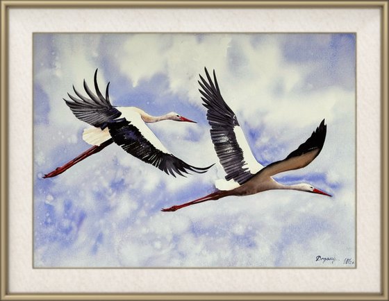 Strok Heron Wader Ardea Hern