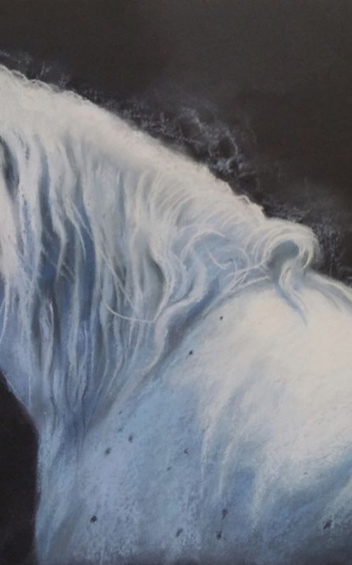 Arabian horse II by Magdalena Palega