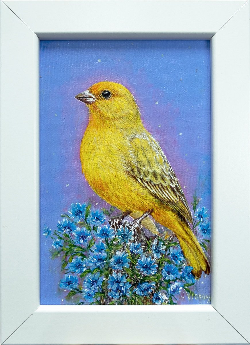 The Canary Bird by Anastasia Woron