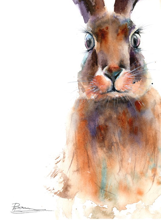 Hare portrait