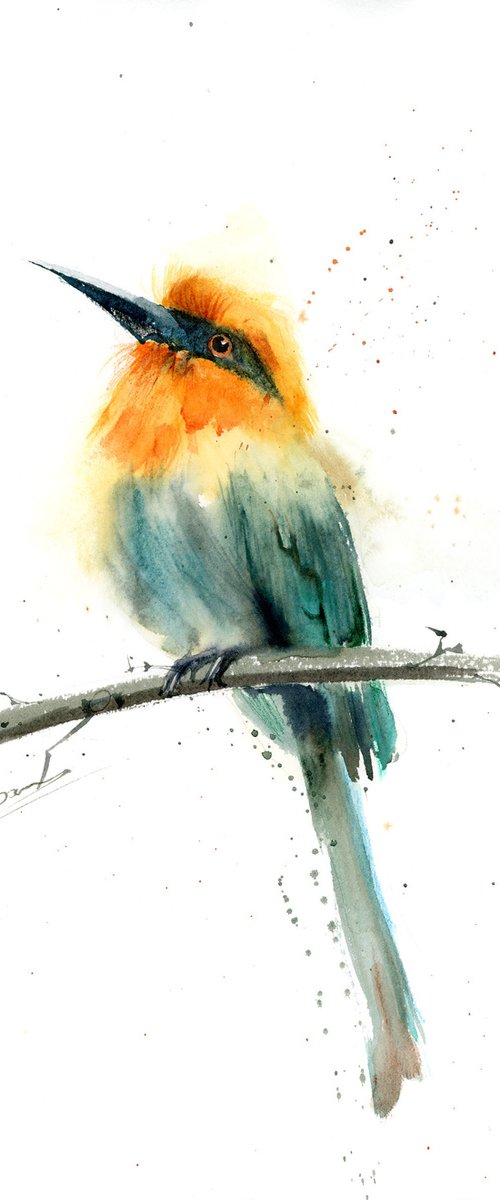 Bee Eater by Olga Tchefranov (Shefranov)