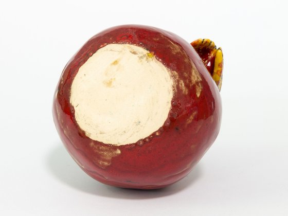 Cicada and pomegranate