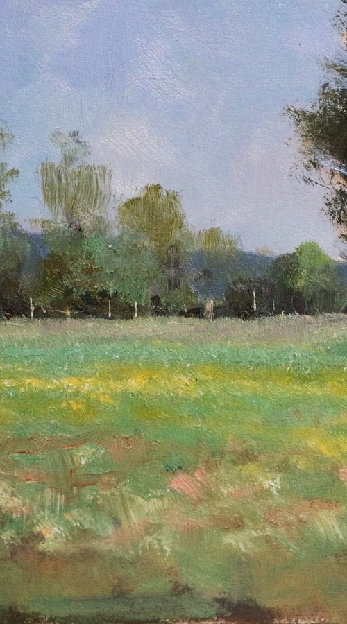 Fields in Haute-Provence by Pascal Giroud