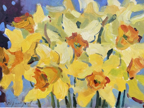 Daffodils