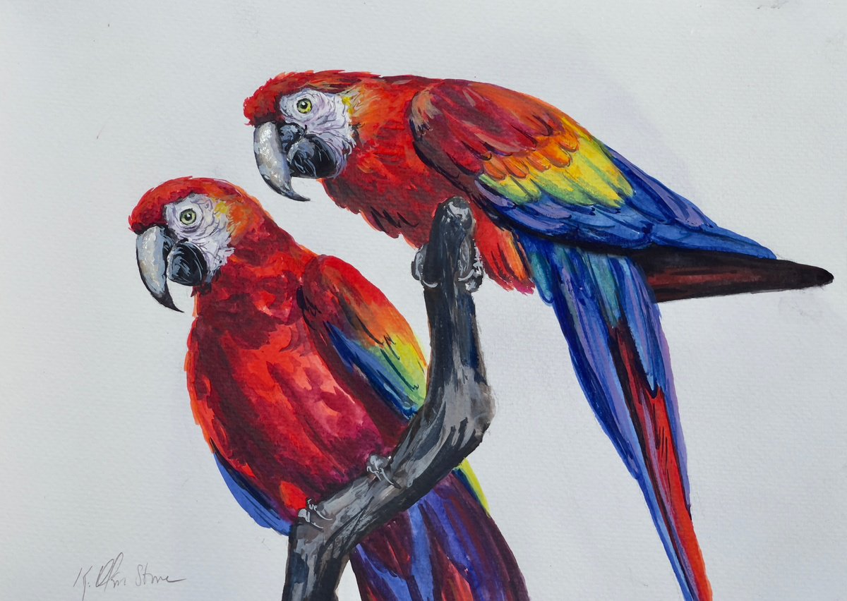 Cheeky Macaws by Kristen Olson Stone
