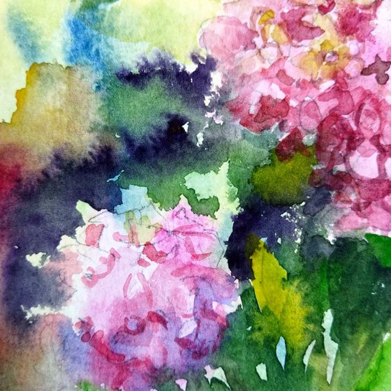Hydrangeas flowers in garden watercolor painting