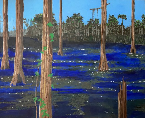 Florida Swamps