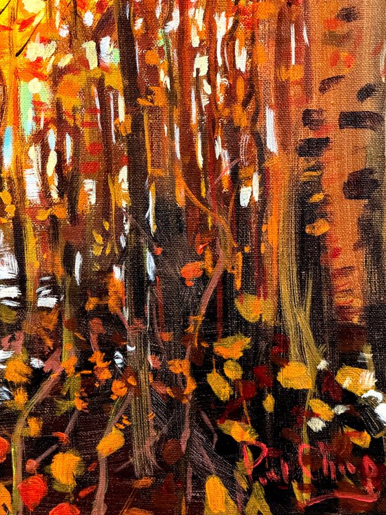 Autumn Aglow