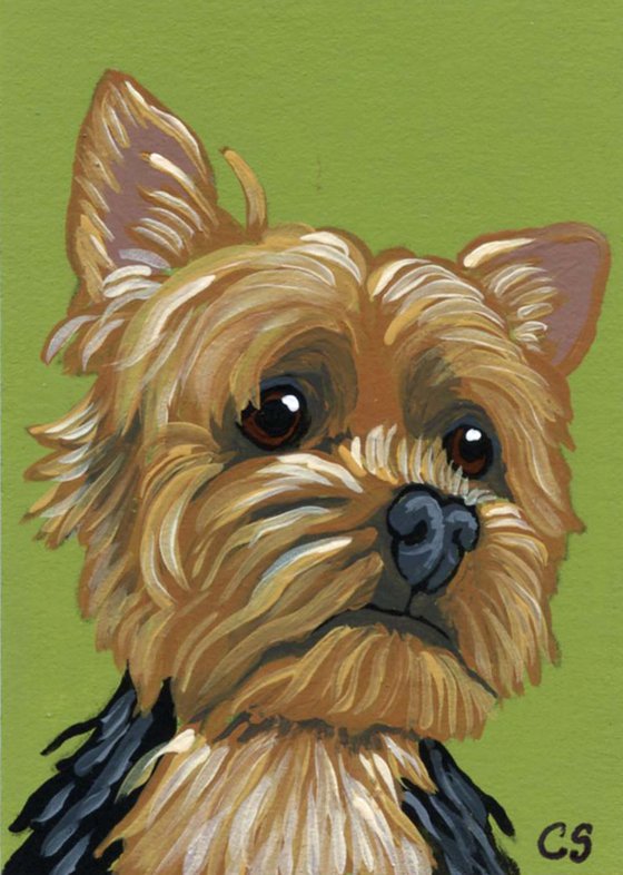 ACEO ATC Original Miniature Painting Yorkshire Terrier Pet Dog Art-Carla Smale