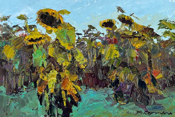 Sunflowers Bowed Down
