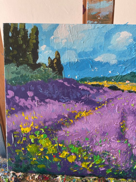 Tuscan Lavender Field