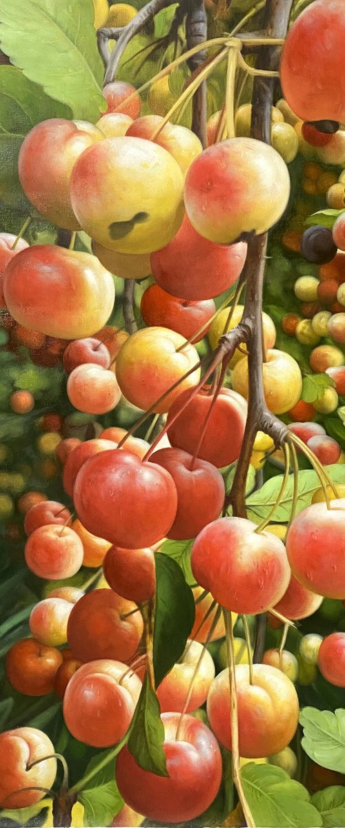 Still life:apples on the trees t191 by Kunlong Wang