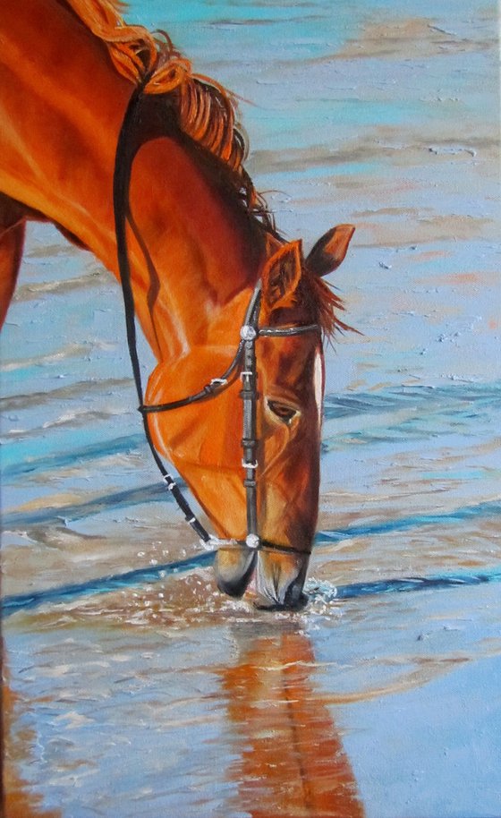 Horse at Sunset