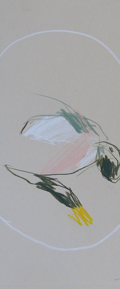 Gestural Research 7 - The Bird, 29x21 cm by Frederic Belaubre
