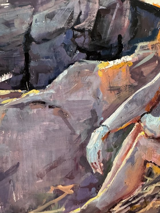 Solitude over the canyon