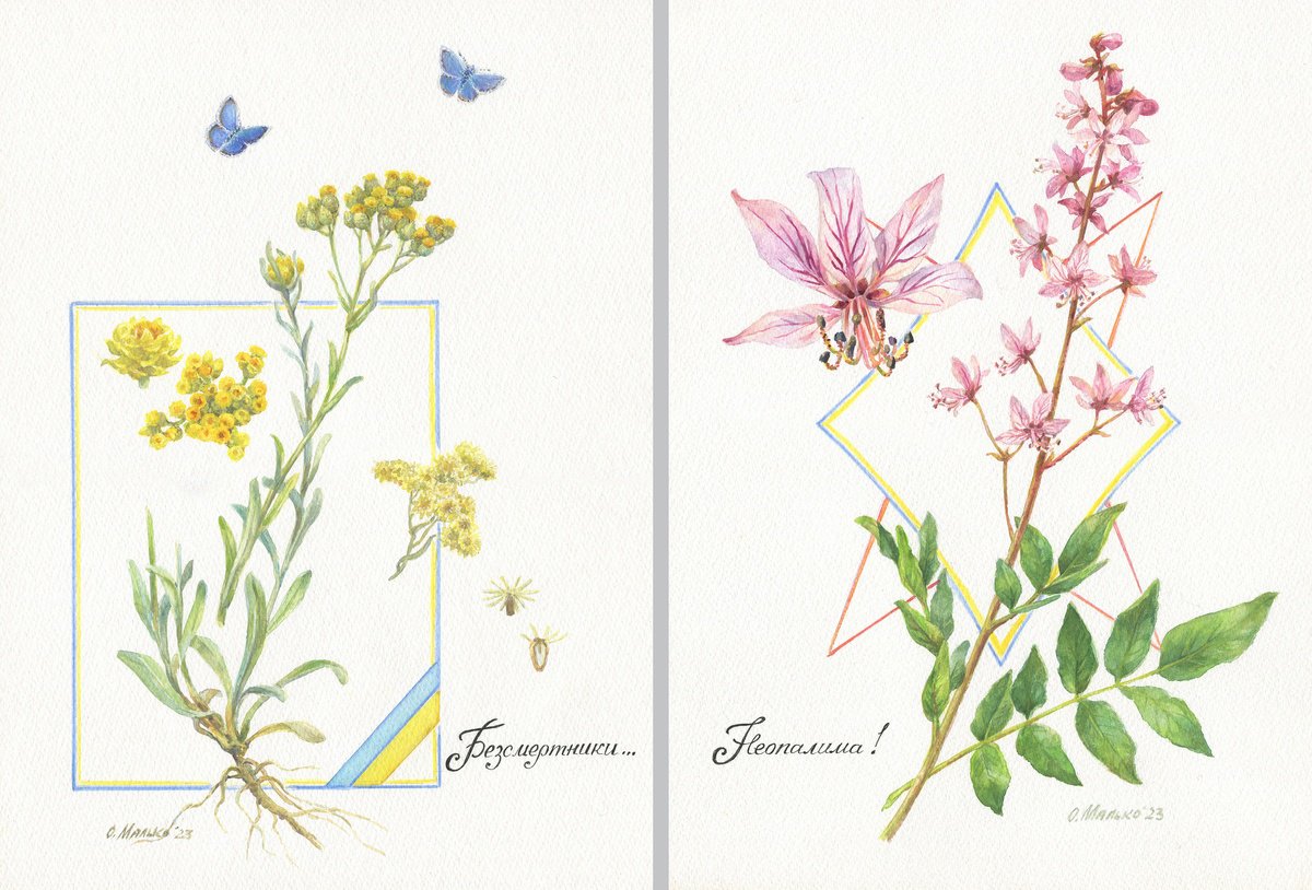 Through eternity (Diptych) / ORIGINAL watercolors Floral picture Botanical illustration by Olha Malko