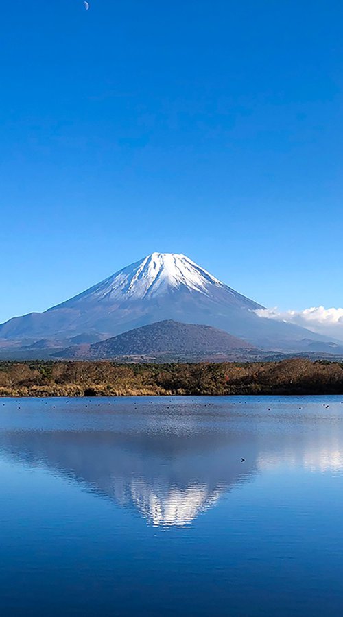 FUJI REFLECT by Fabio Accorrà