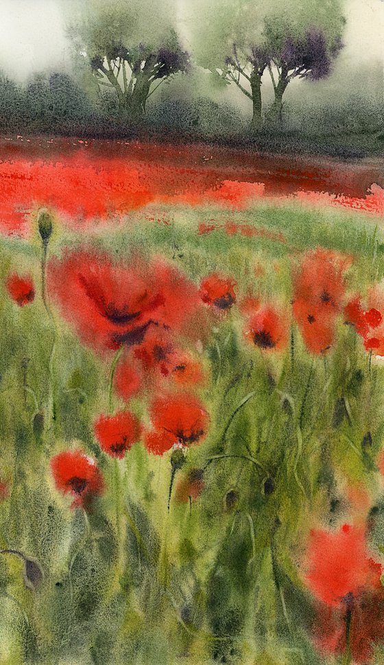 Coquelicot, 2.