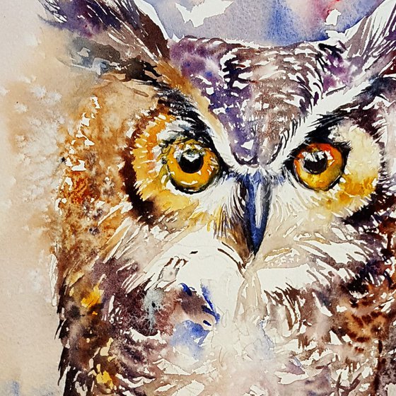 Glenn_ Great Horned Owl
